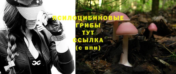 ешки Баксан