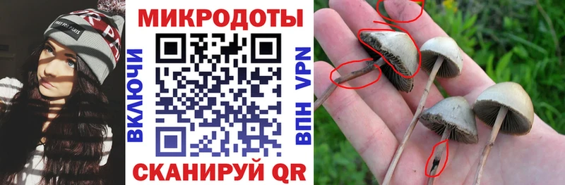 как найти наркотики  Янаул  Псилоцибиновые грибы Magic Shrooms 